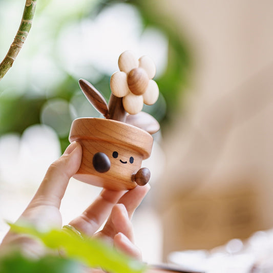 Happy Daisy - Longgoods