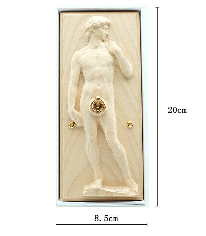 David Switch Cover - Longgoods