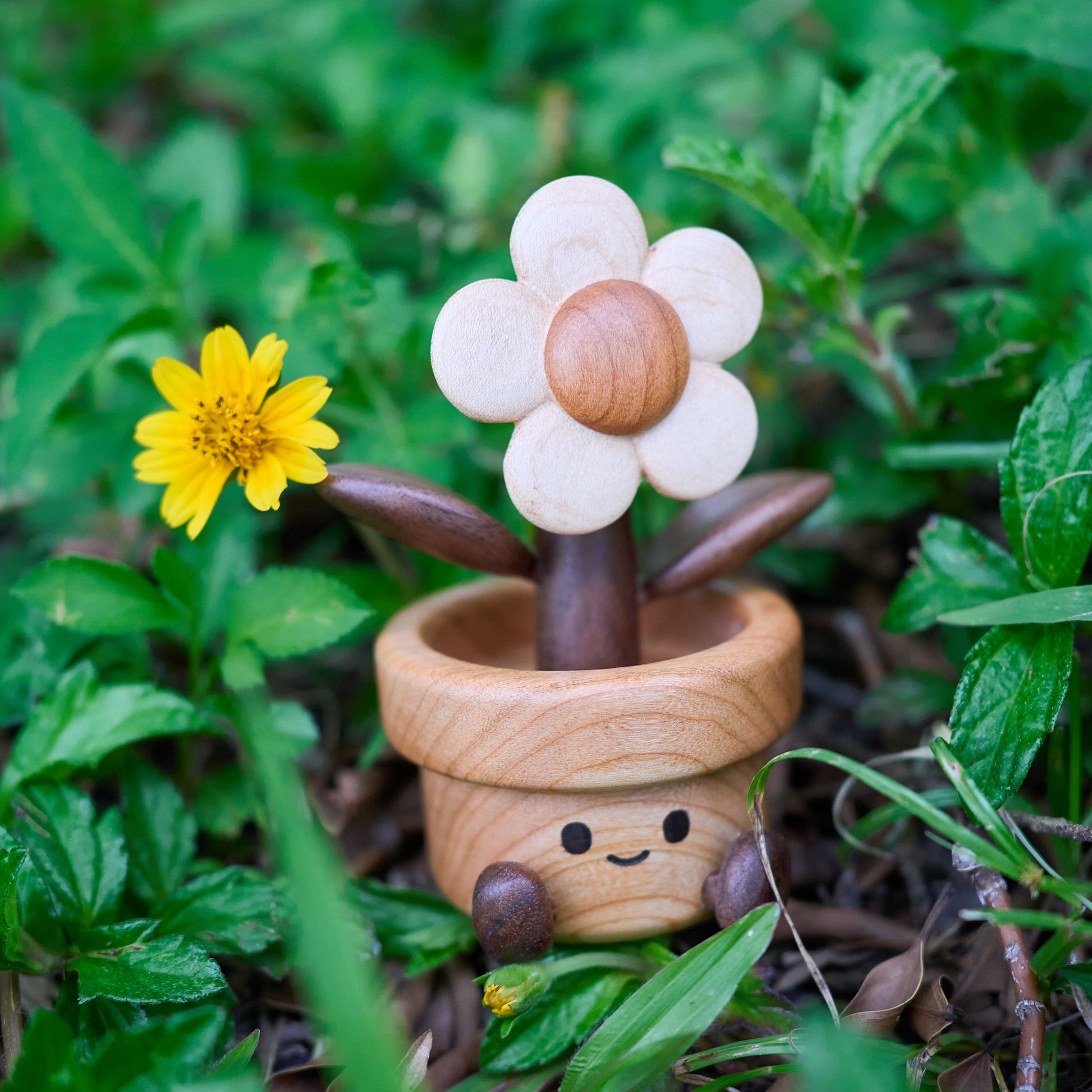 Happy Daisy - Longgoods