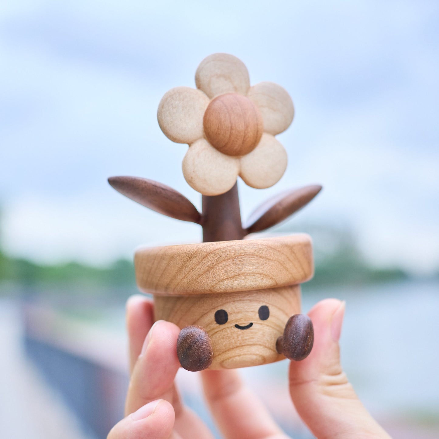 Happy Daisy - Longgoods