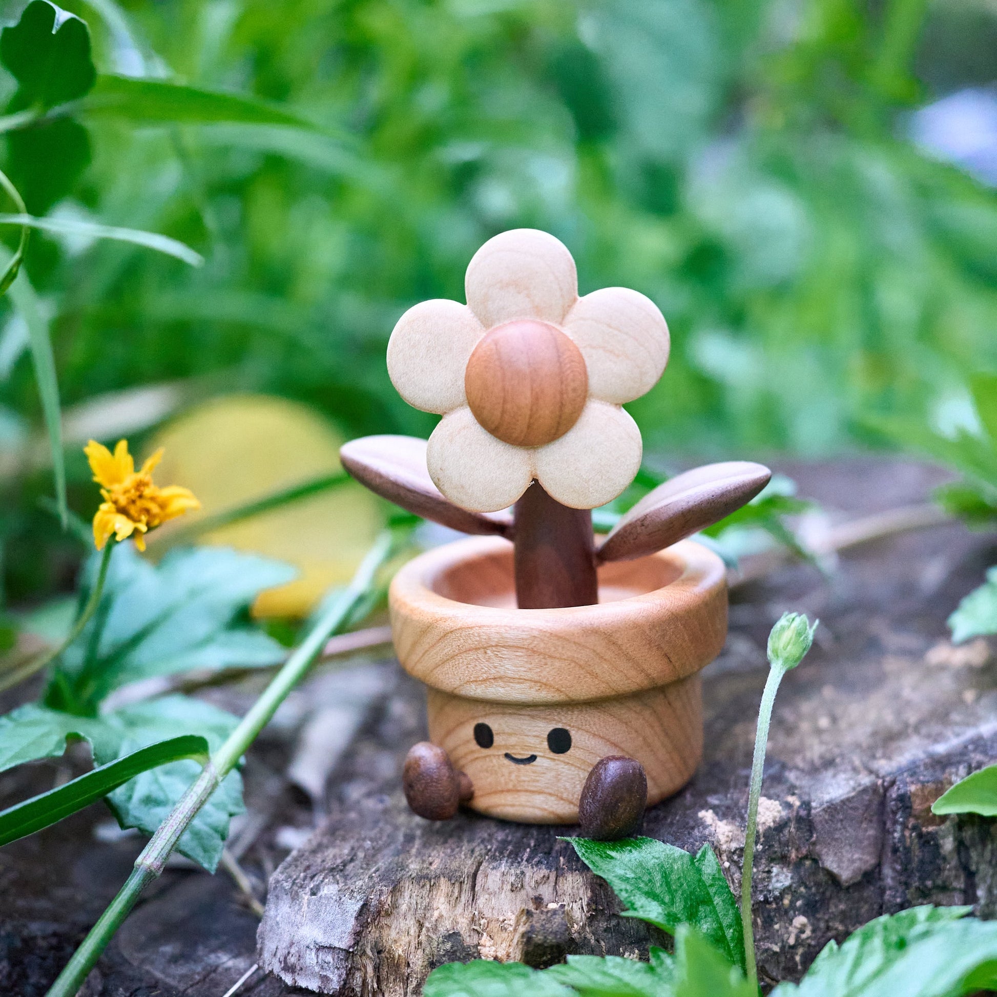 Happy Daisy - Longgoods