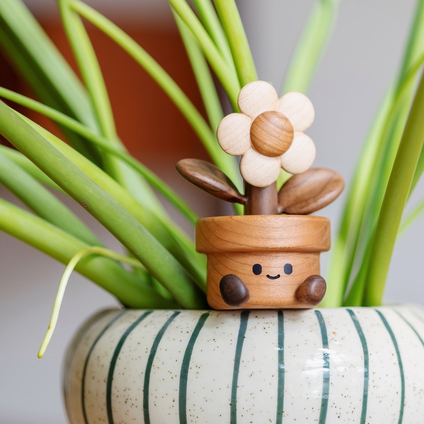 Happy Daisy - Longgoods