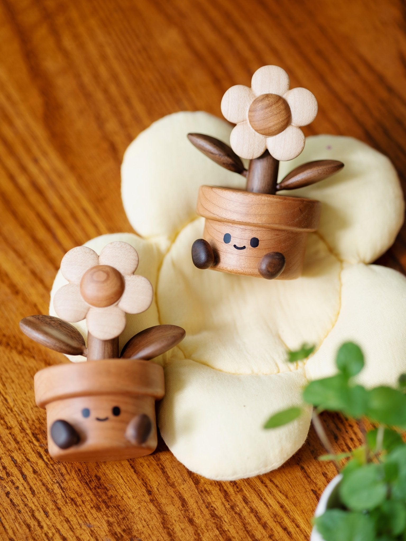 Happy Daisy - Longgoods